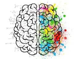 ADHD brain