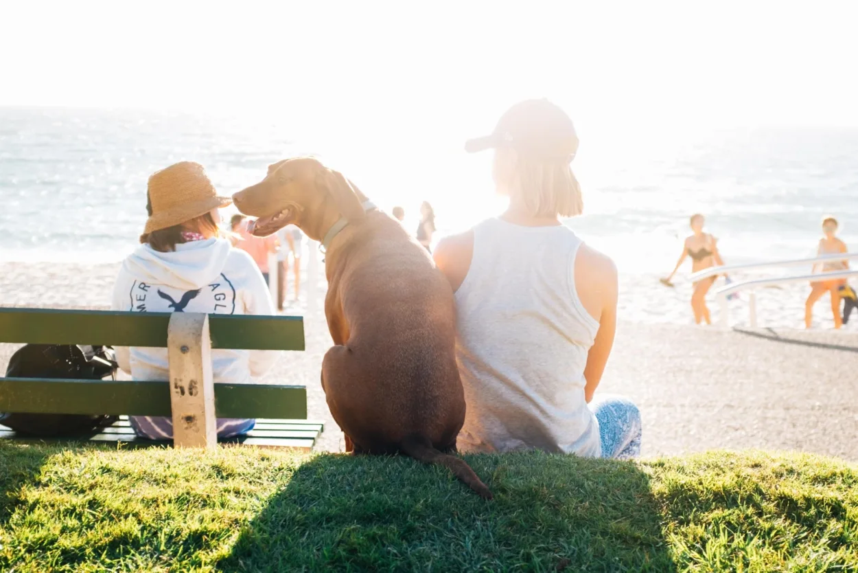 woman sitting with her dog at beach