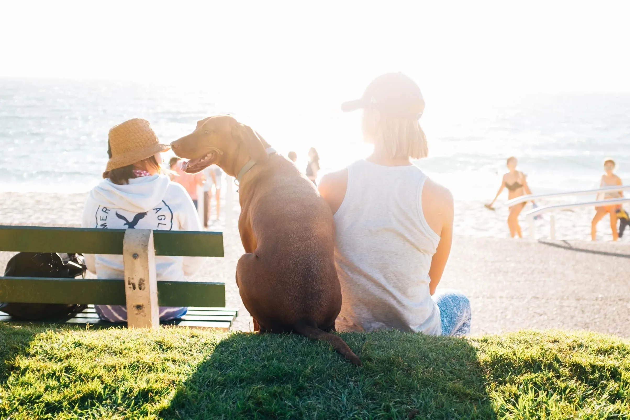 Staying Sober Through the Summer