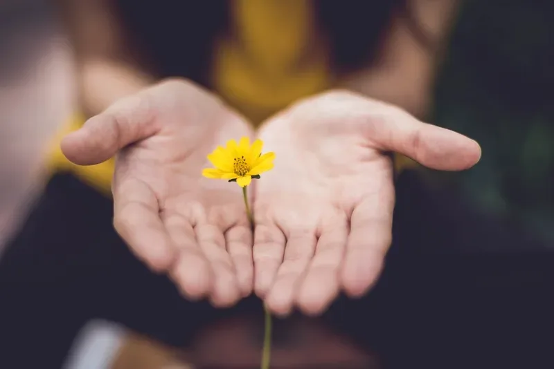 flower between hands